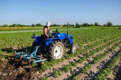 The farm is controlled by the cultivation process on the tractor. agroindustry and agribusiness. 