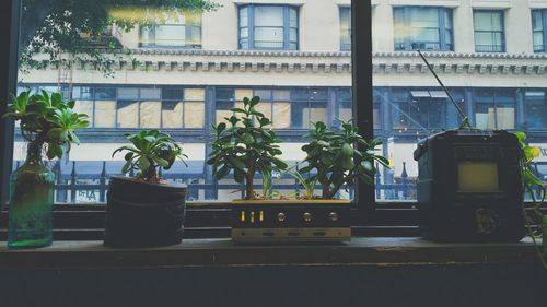 Buildings in city