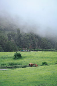 Home ,gudalur which is a small village located in india