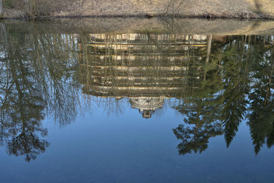 Reflection of trees in lake