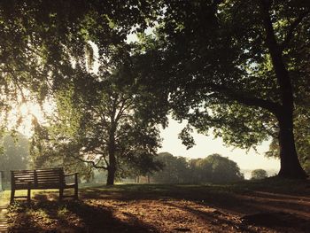 Trees on field