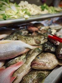 Close-up of fish for sale in market