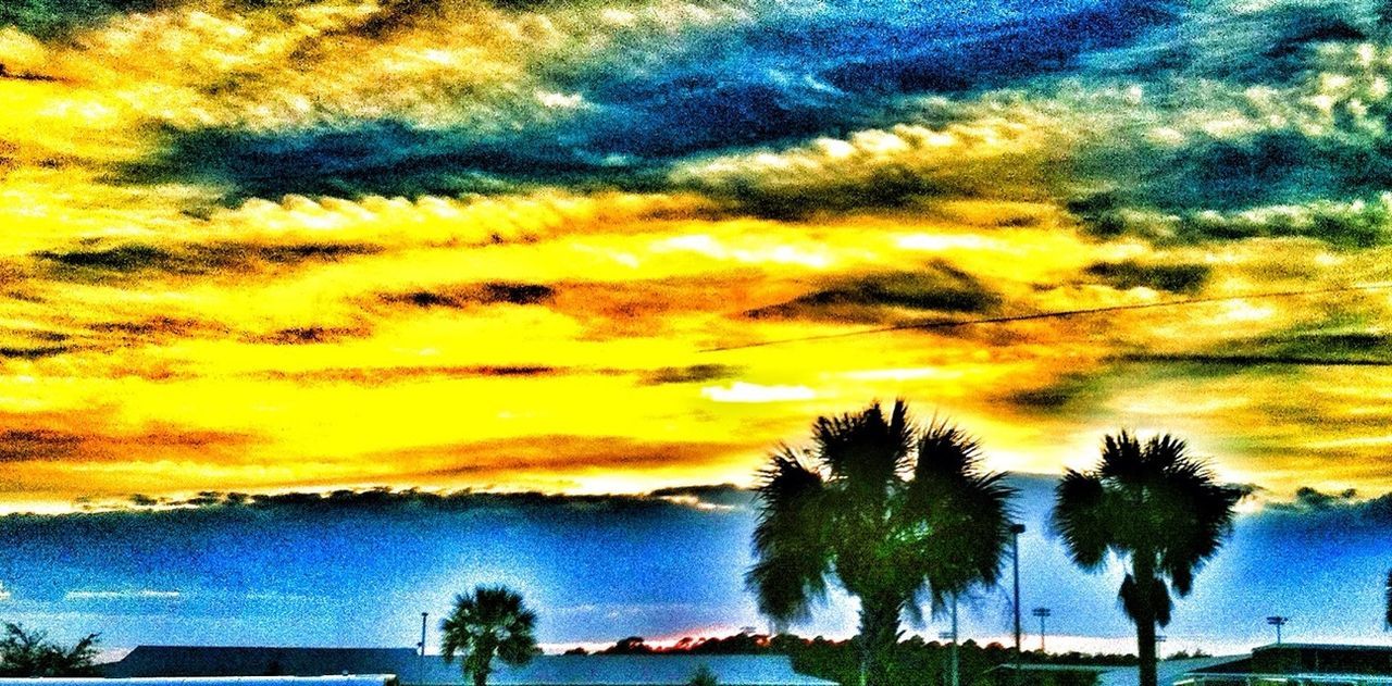 sky, sunset, cloud - sky, tree, beauty in nature, scenics, tranquil scene, tranquility, palm tree, nature, cloudy, dramatic sky, cloud, orange color, idyllic, weather, outdoors, built structure, no people, growth