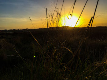 Scenic view of landscape at sunset