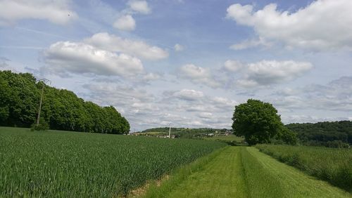 Road passing through field