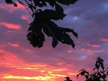 Low angle view of silhouette tree against dramatic sky