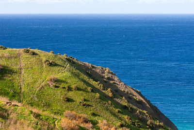 Seacoast on small island gozo, malta. natural sescape with beautiful green coast.