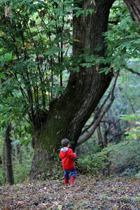 Rear view of boy standing in forest