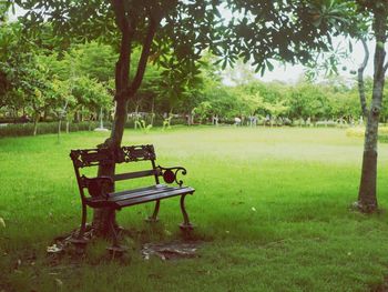 Empty bench in park