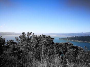 Scenic view of sea against clear blue sky