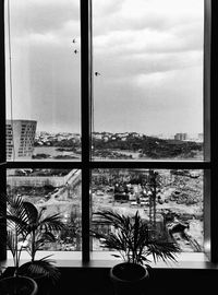 Trees and buildings seen through glass window