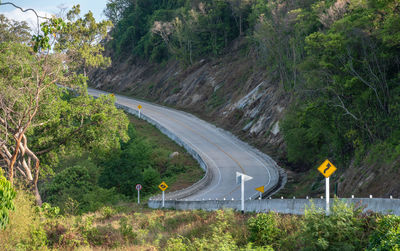 Road passing through trees