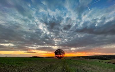 Scenic view of field against sky during sunset