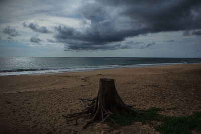 Scenic view of beach against sky