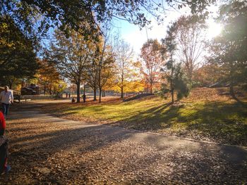 Road amidst trees in park during autumn