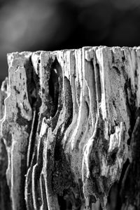 Close up of wood