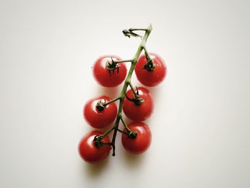 Close-up of red object over white background