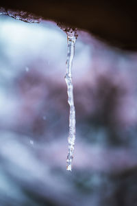 Close-up of frozen water