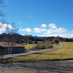 Road by trees against blue sky