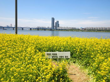 View of cityscape against blue sky