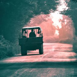 Rear view of man sitting on road by plants