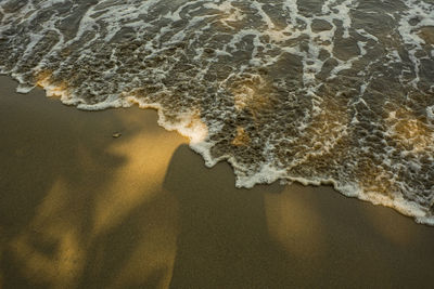 Close-up of beach