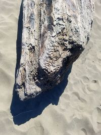 High angle view of rock on beach