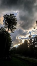 Silhouette trees on landscape against sky at sunset