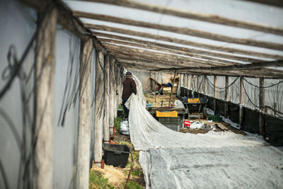 Rear view of man working in shed at farm