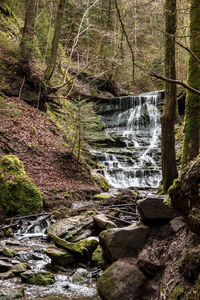 Stream flowing through rocks in forest