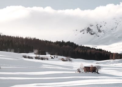 Scenic view of snow field against sky