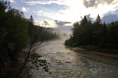 Scenic view of river amidst trees against sky