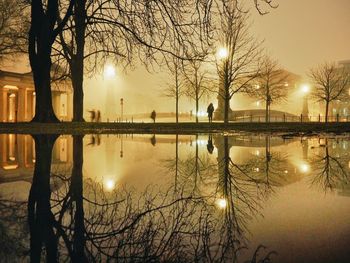 Reflection of bare trees in water