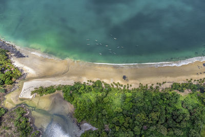 Aerial view of bureh beach