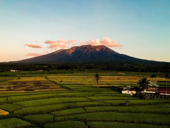 Scenic view of agricultural field against mountain and sky