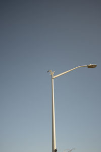 Low angle view of street light against clear sky