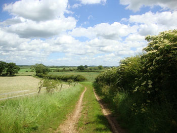 Dirt road passing through field