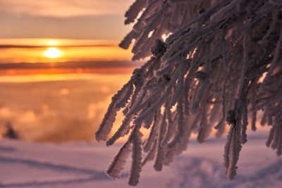 Scenic view of frozen lake during sunset