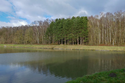 Scenic view of lake in forest against sky