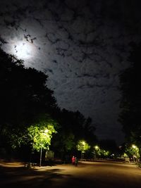Road by trees in city at night