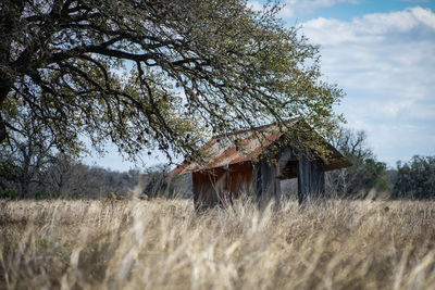 Old outhouse in a field