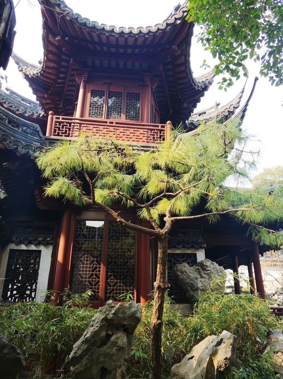 architecture, built structure, building exterior, tree, entrance, place of worship, day, spirituality, no people, outdoors, religion, history, wood - material, low angle view, doorway, roof, plant, nature, sky