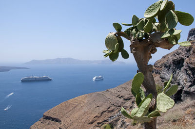 Scenic view of sea against clear sky