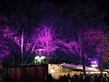 Silhouette of trees at night