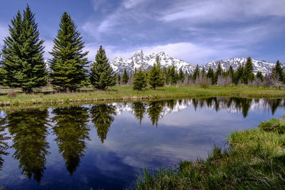 Reflection of trees in lake against sky