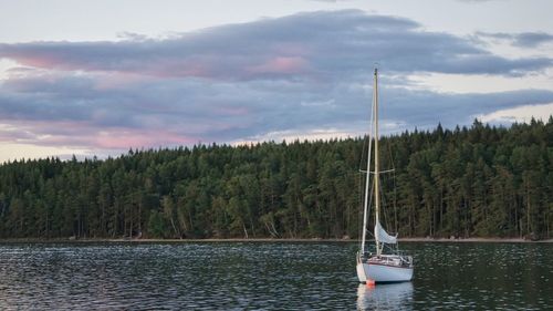Sailboat sailing on sea against sky