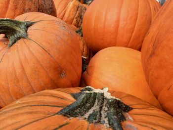 High angle view of pumpkins for sale at market