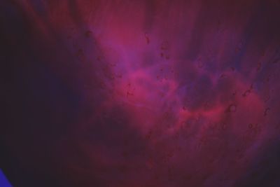 Abstract image of pink flower against sky