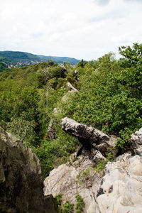Scenic view of green landscape against sky