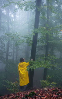 Rear view of man standing in forest